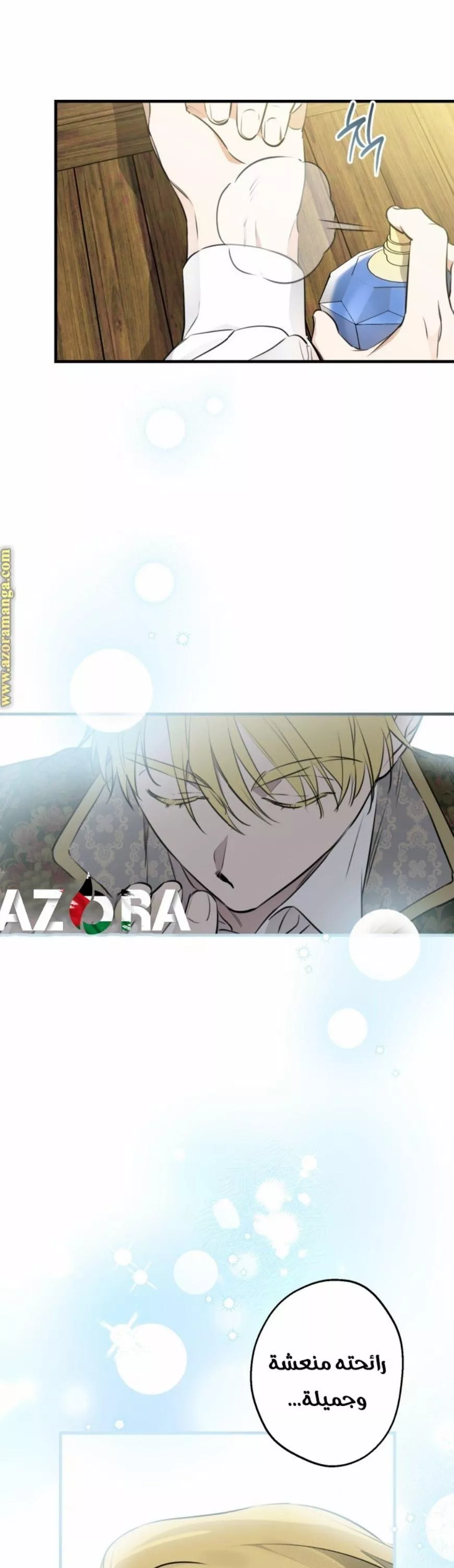 الصفحة 3