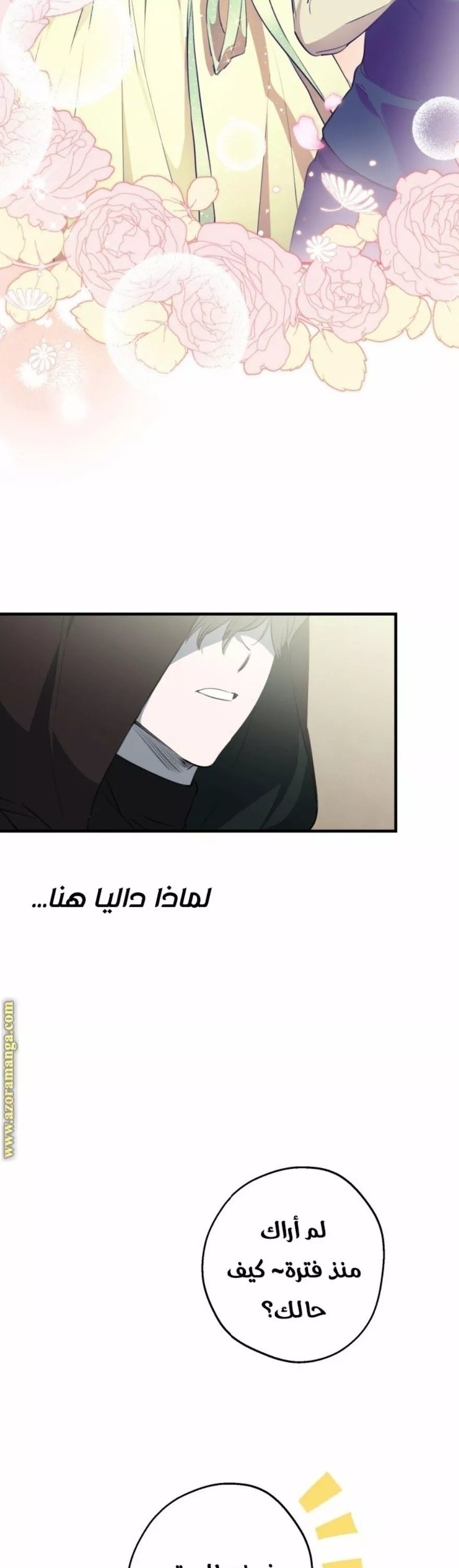 الصفحة 29