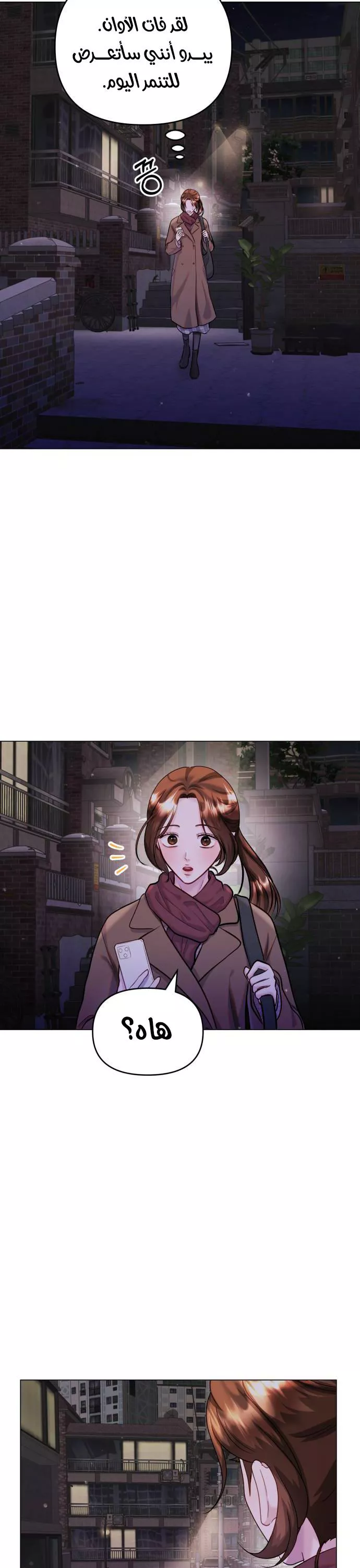الصفحة 16