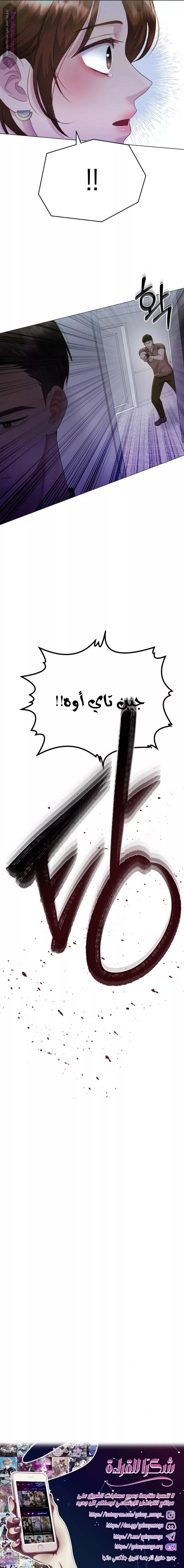 الصفحة 13