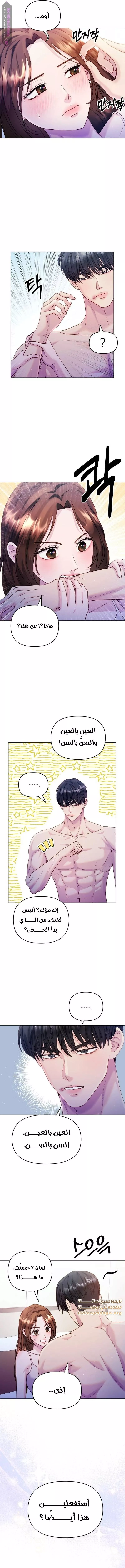 الصفحة 13