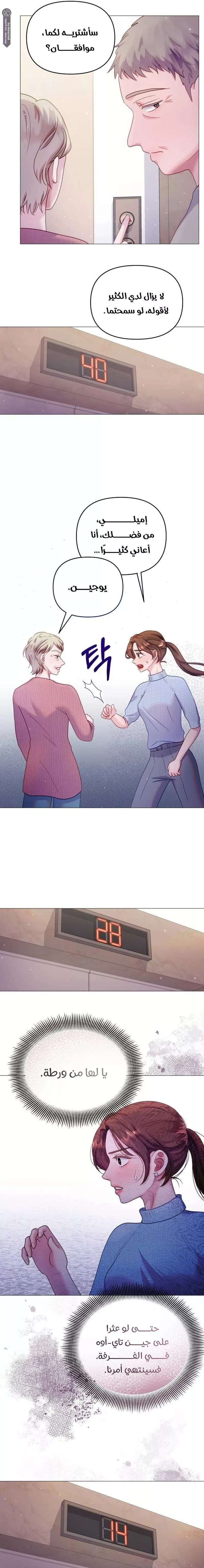 الصفحة 11