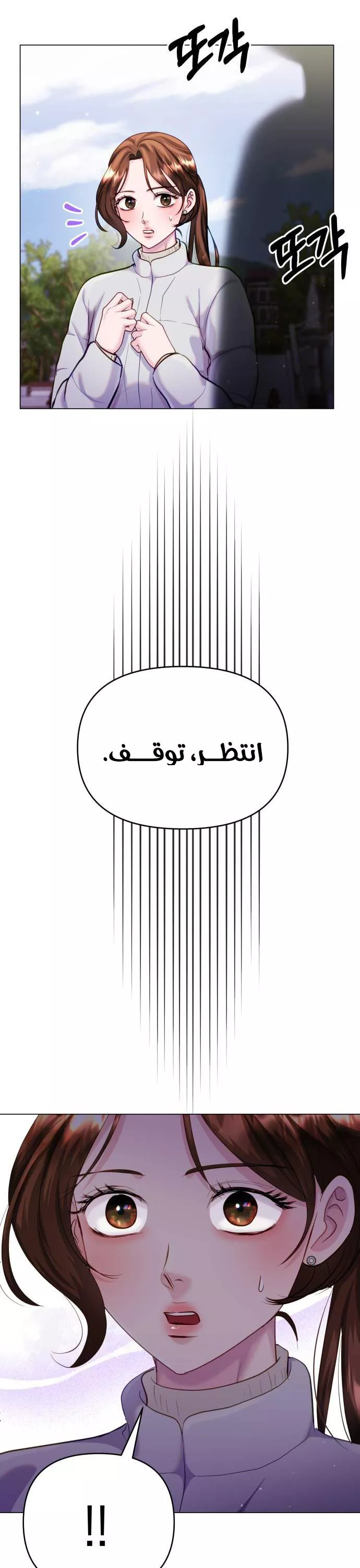 الصفحة 27