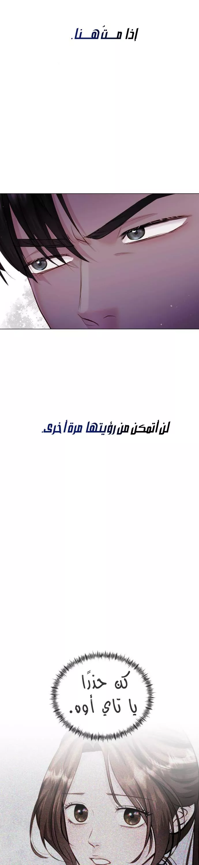 الصفحة 43