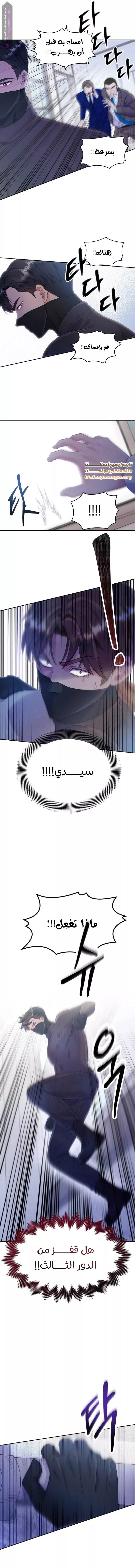 الصفحة 8