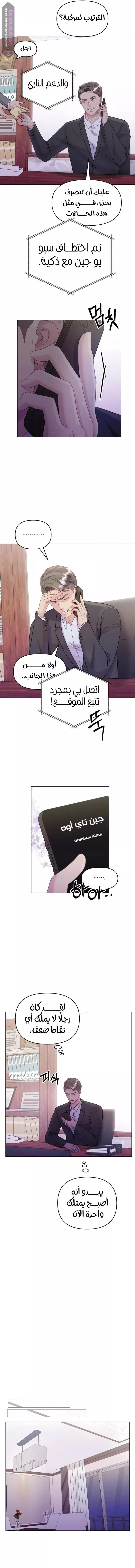 الصفحة 13