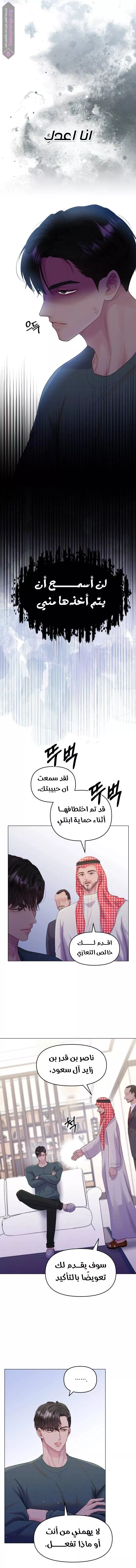 الصفحة 17