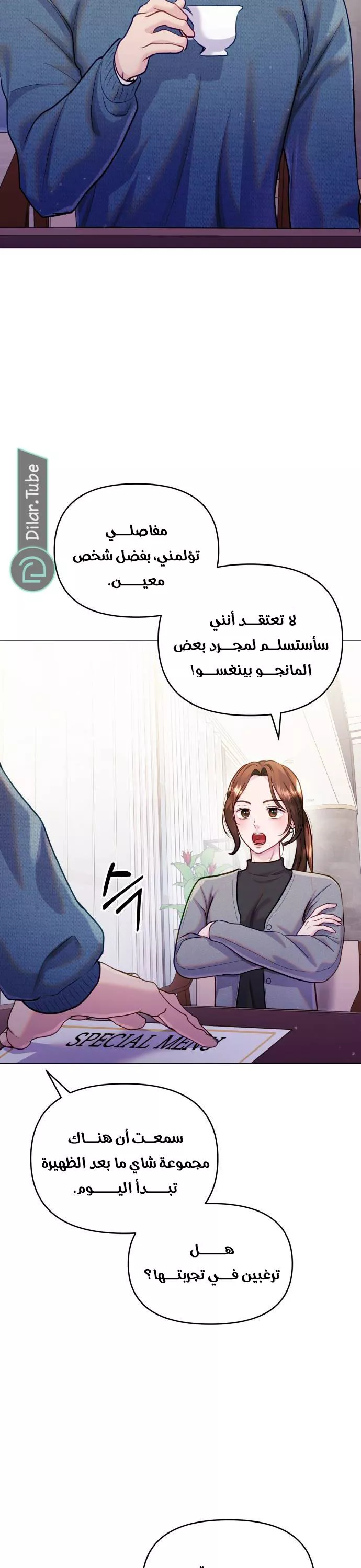 الصفحة 29
