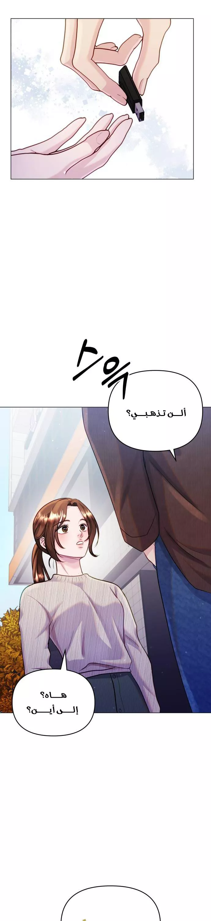 الصفحة 14