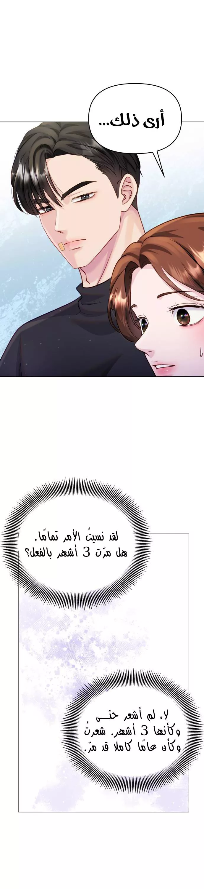 الصفحة 31