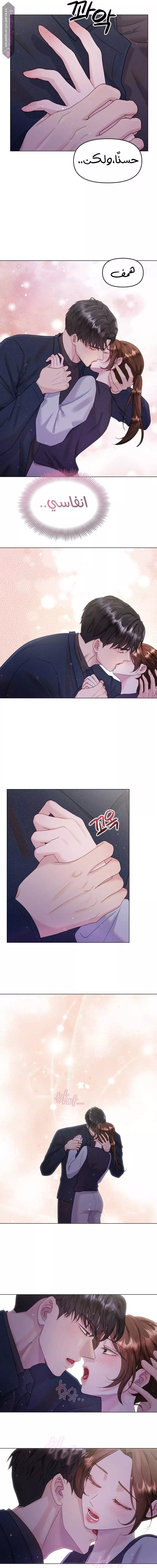 الصفحة 12