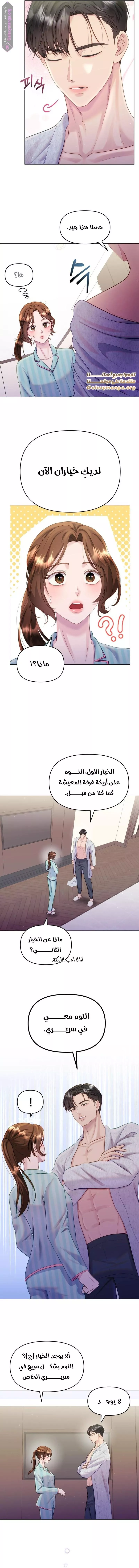 الصفحة 3