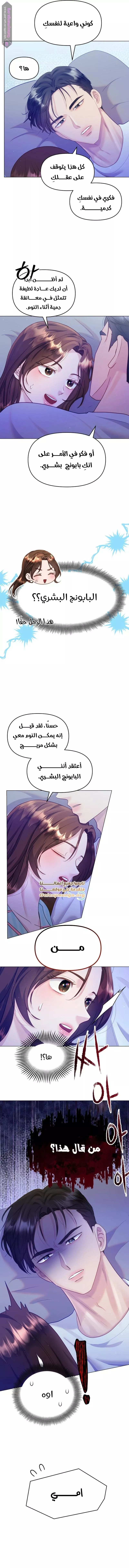 الصفحة 6