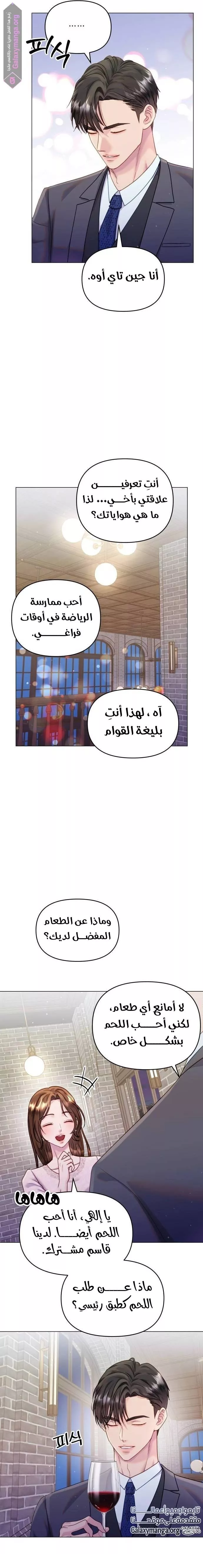 الصفحة 13