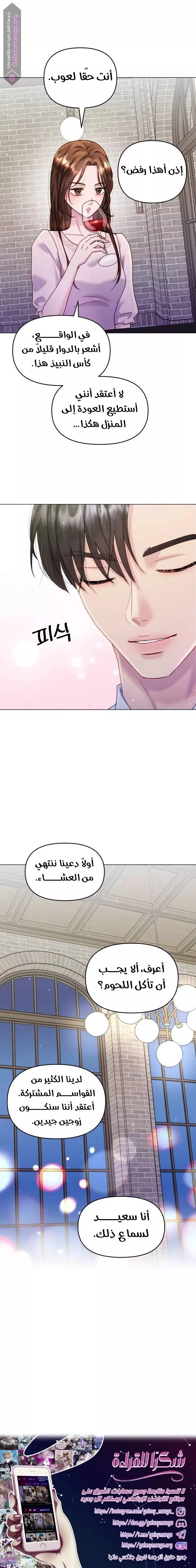 الصفحة 20