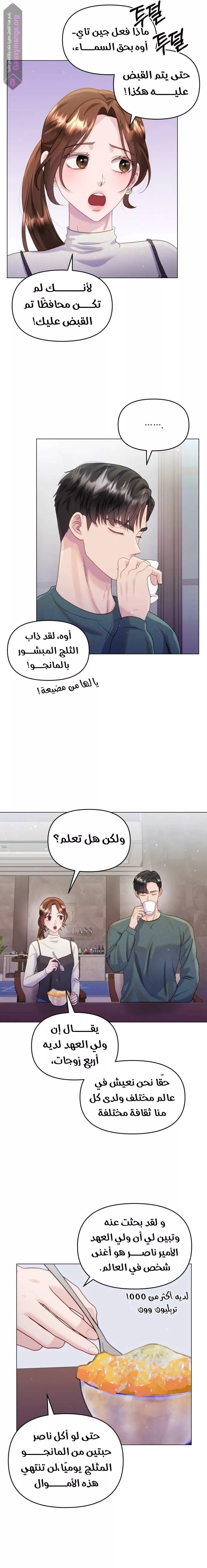 الصفحة 3