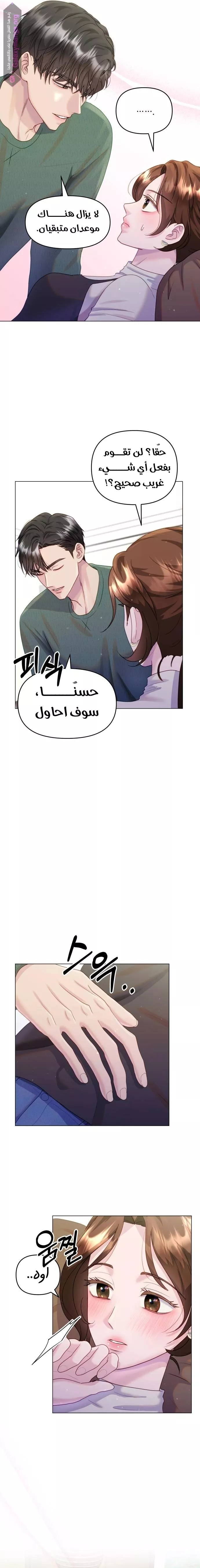 الصفحة 11