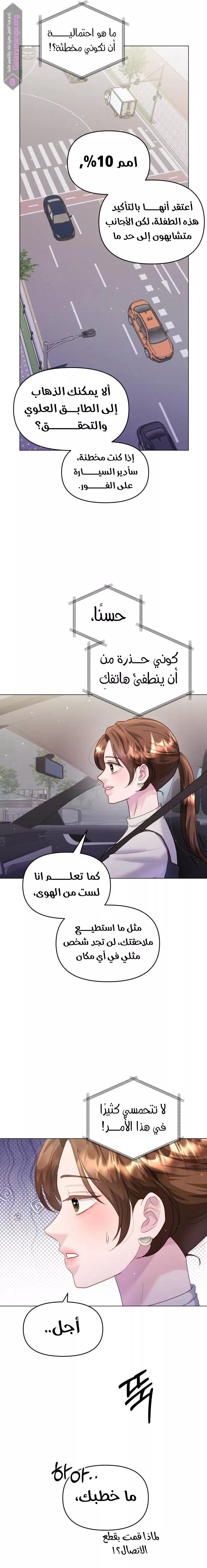 الصفحة 17