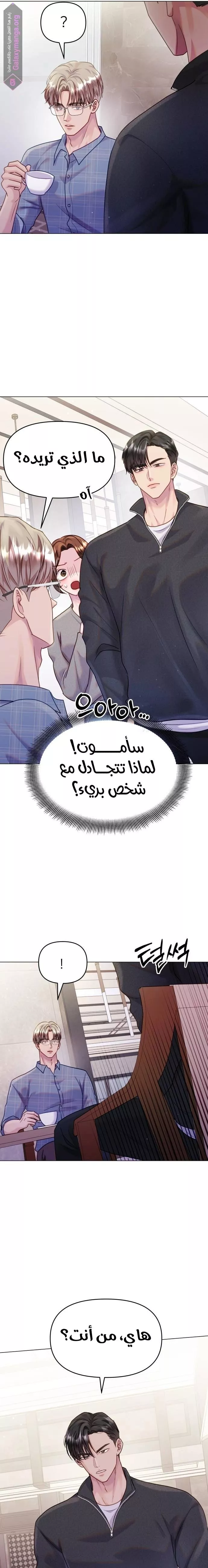 الصفحة 12