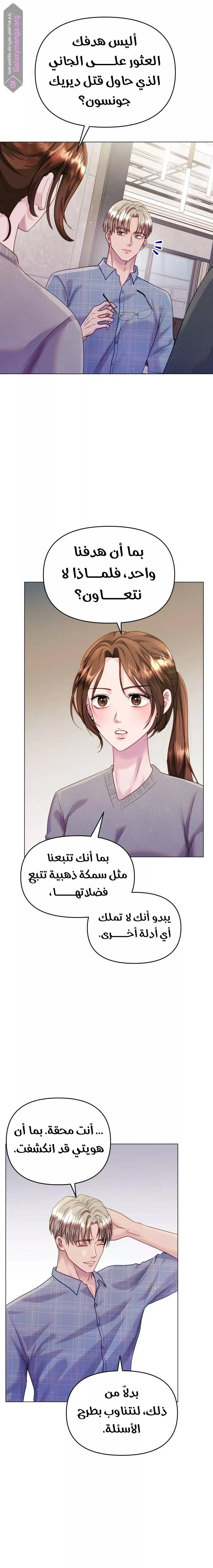 الصفحة 17