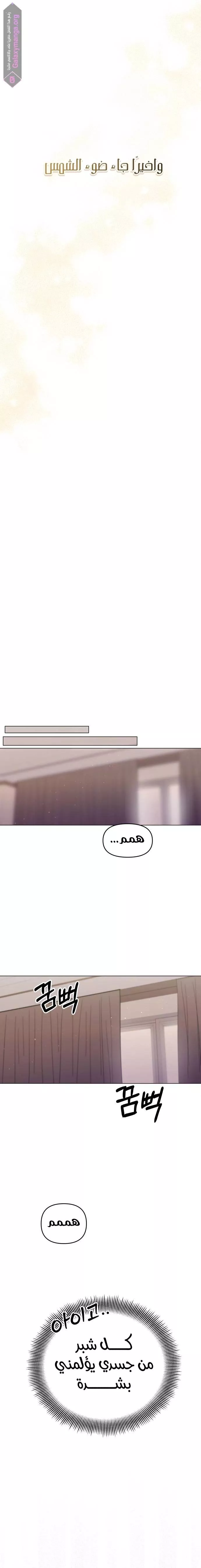 الصفحة 21
