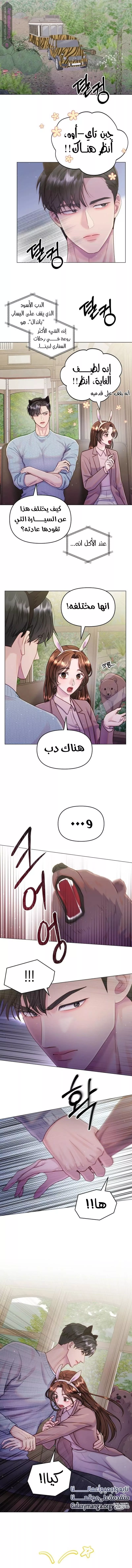 الصفحة 5