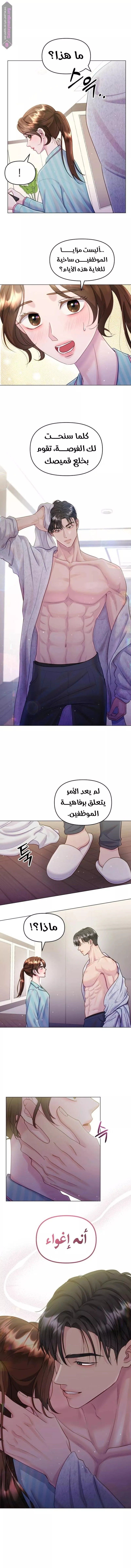 الصفحة 11