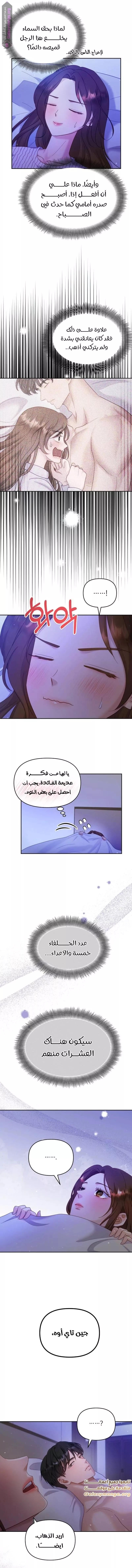 الصفحة 8