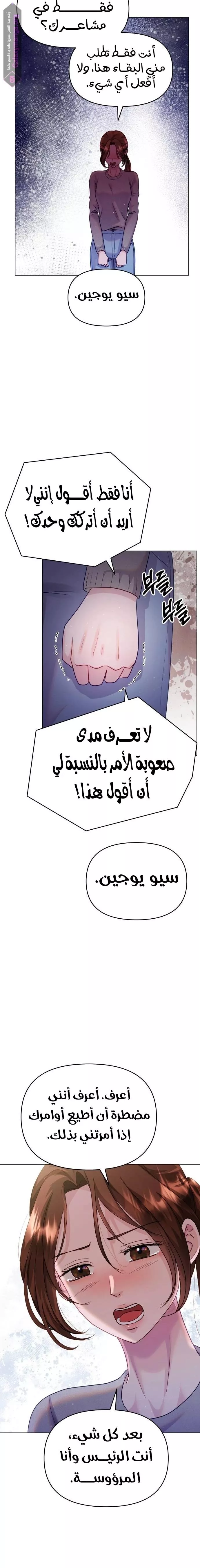 الصفحة 19