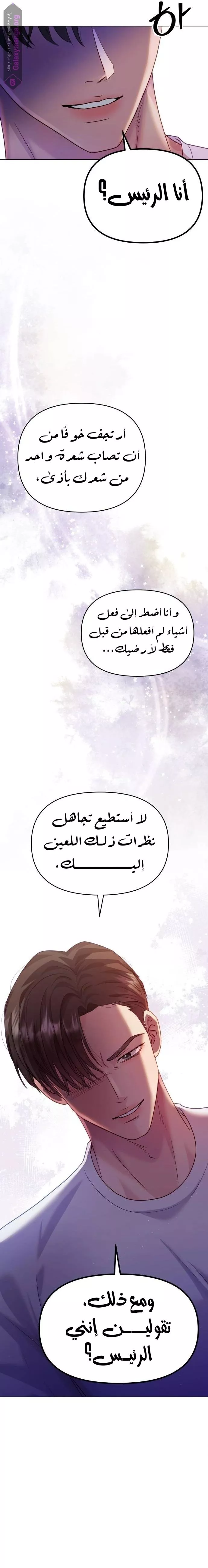 الصفحة 20