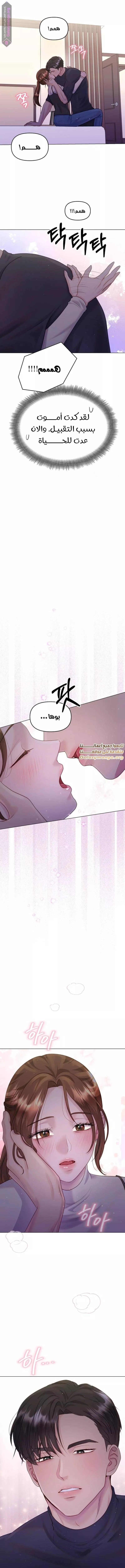 الصفحة 13