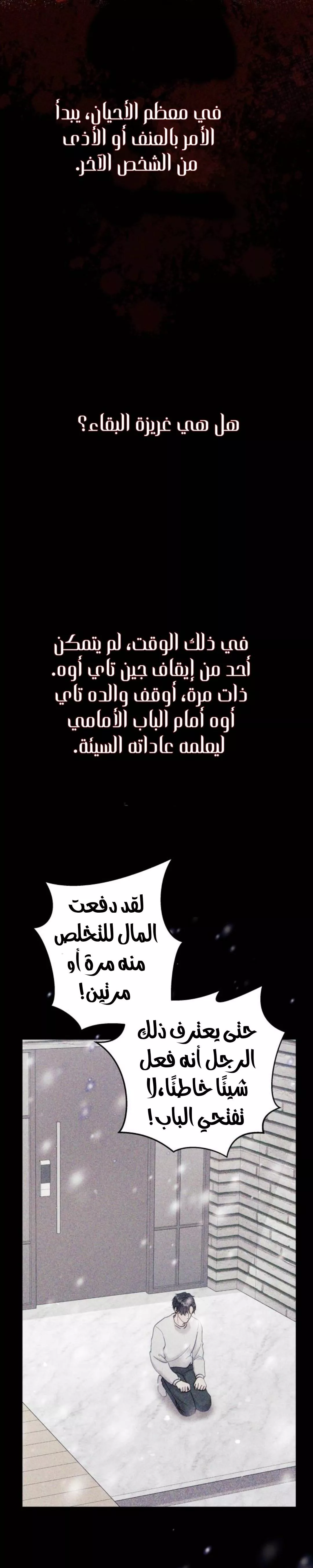 الصفحة 17