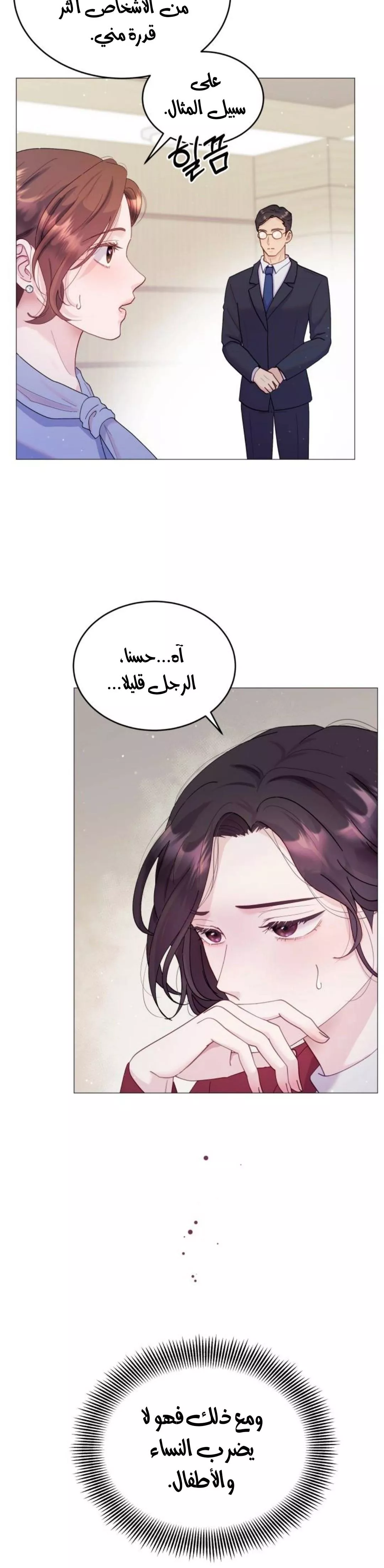 الصفحة 28