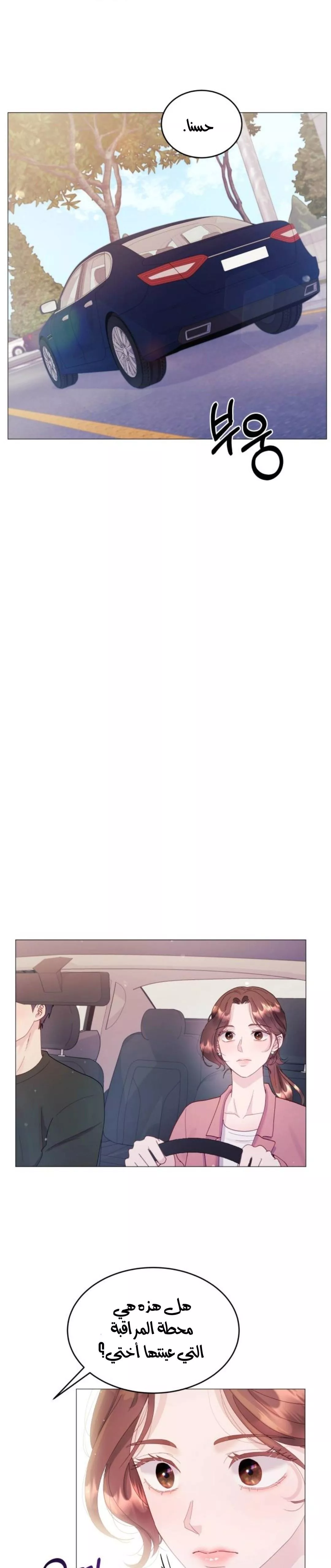 الصفحة 39