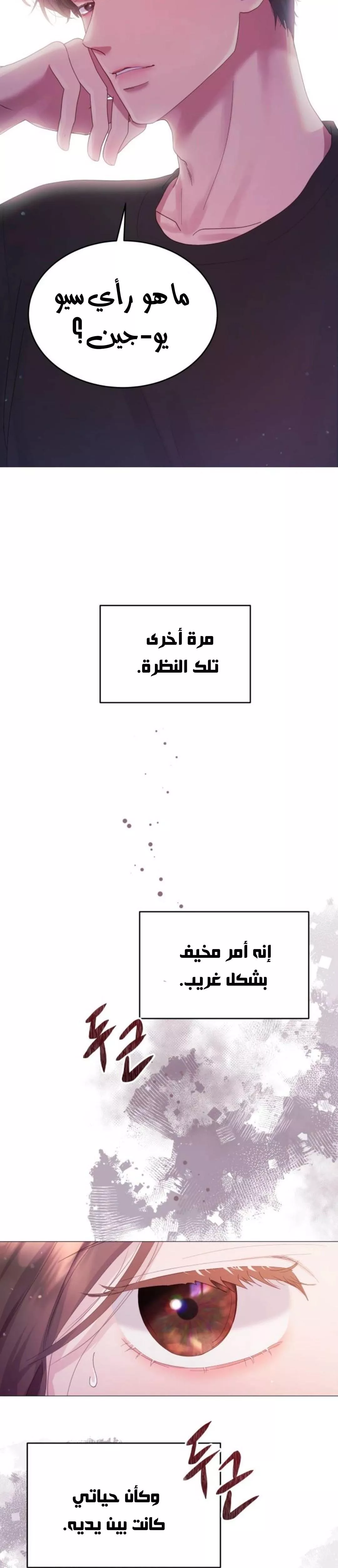 الصفحة 42