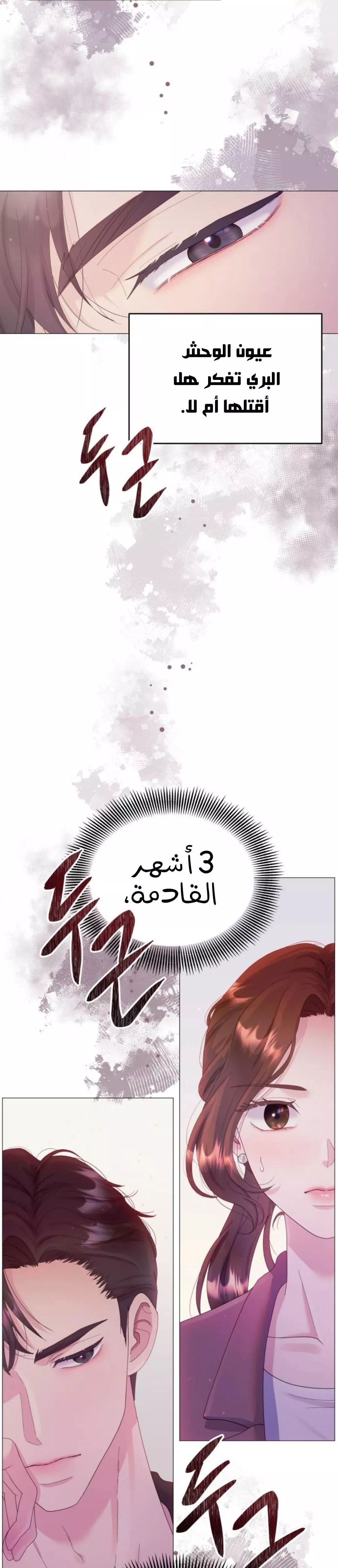 الصفحة 43