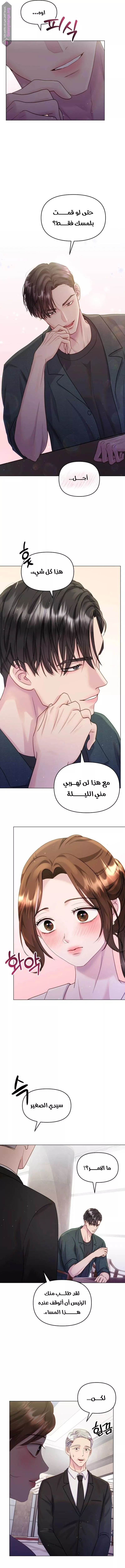 الصفحة 11