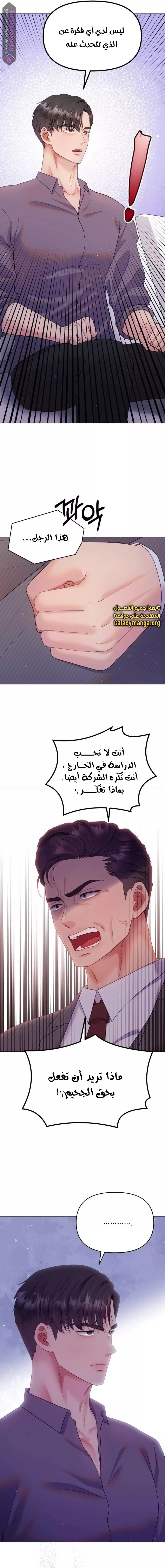 الصفحة 11