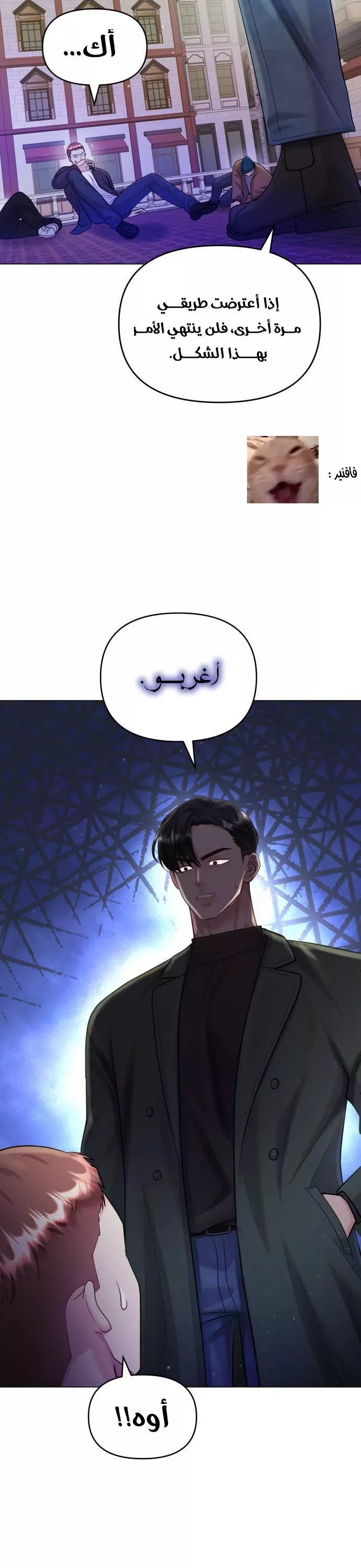 الصفحة 27