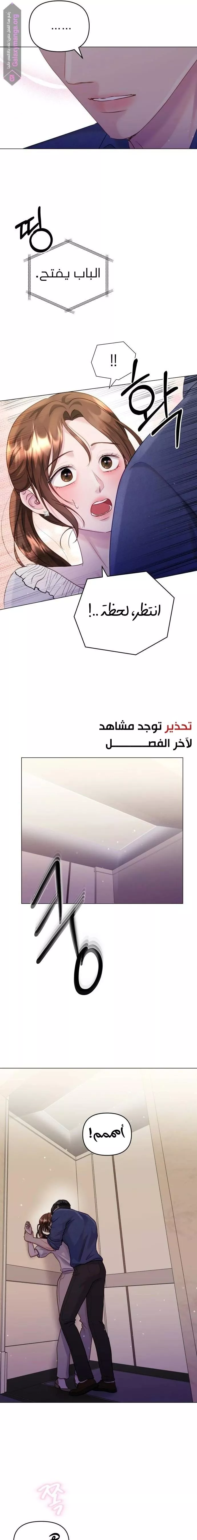 الصفحة 13