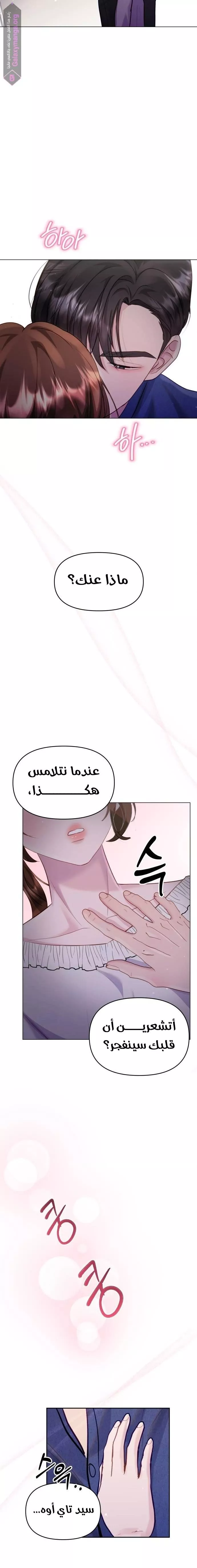 الصفحة 21
