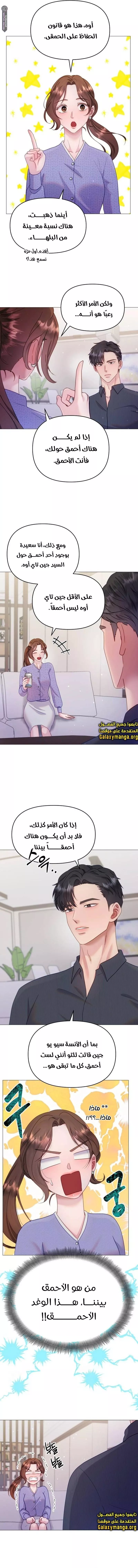 الصفحة 13