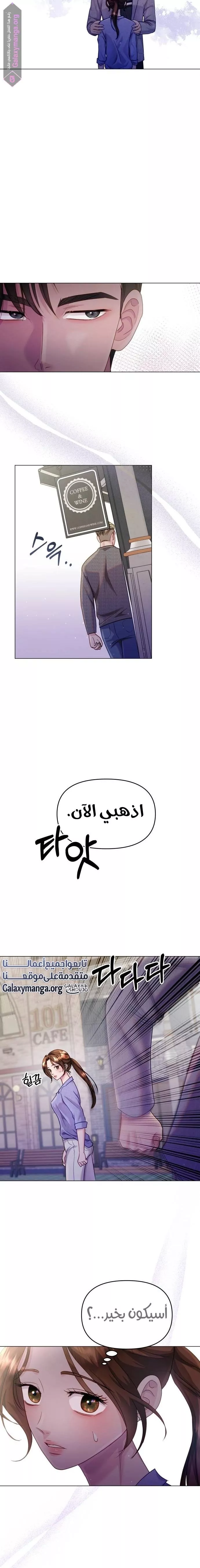 الصفحة 13