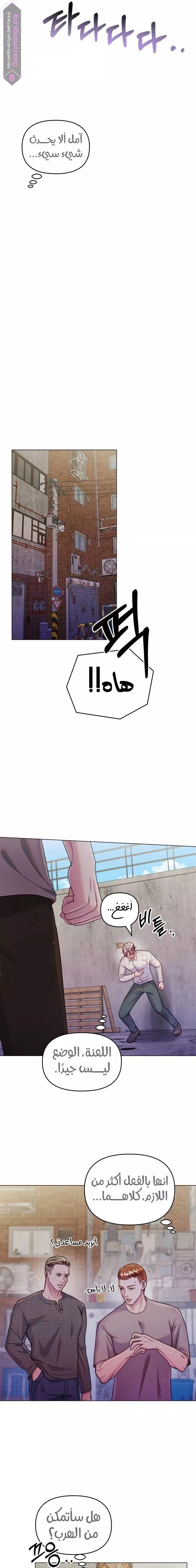 الصفحة 14