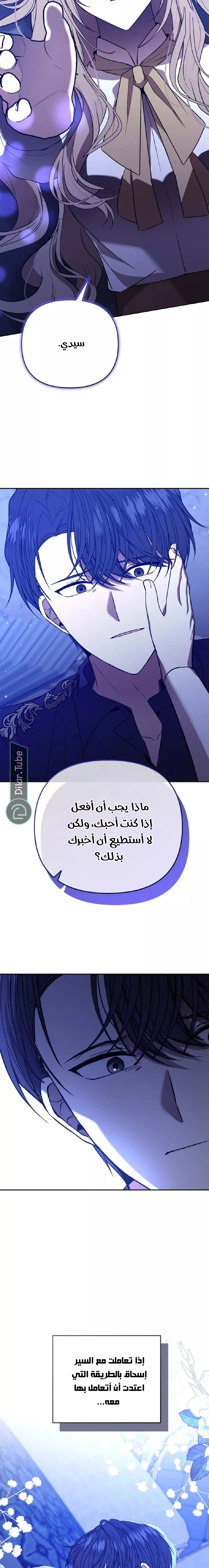 الصفحة 17