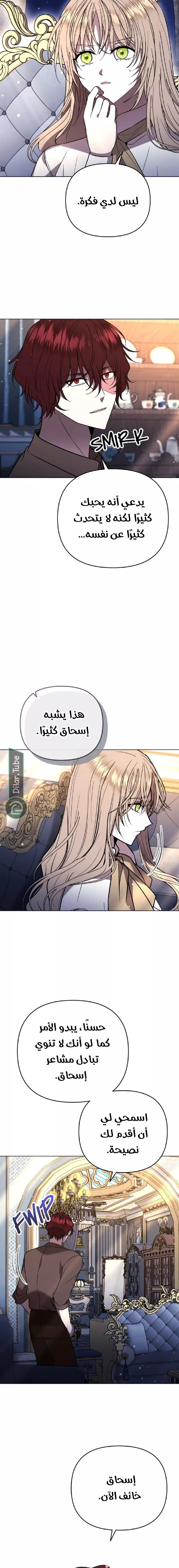 الصفحة 17