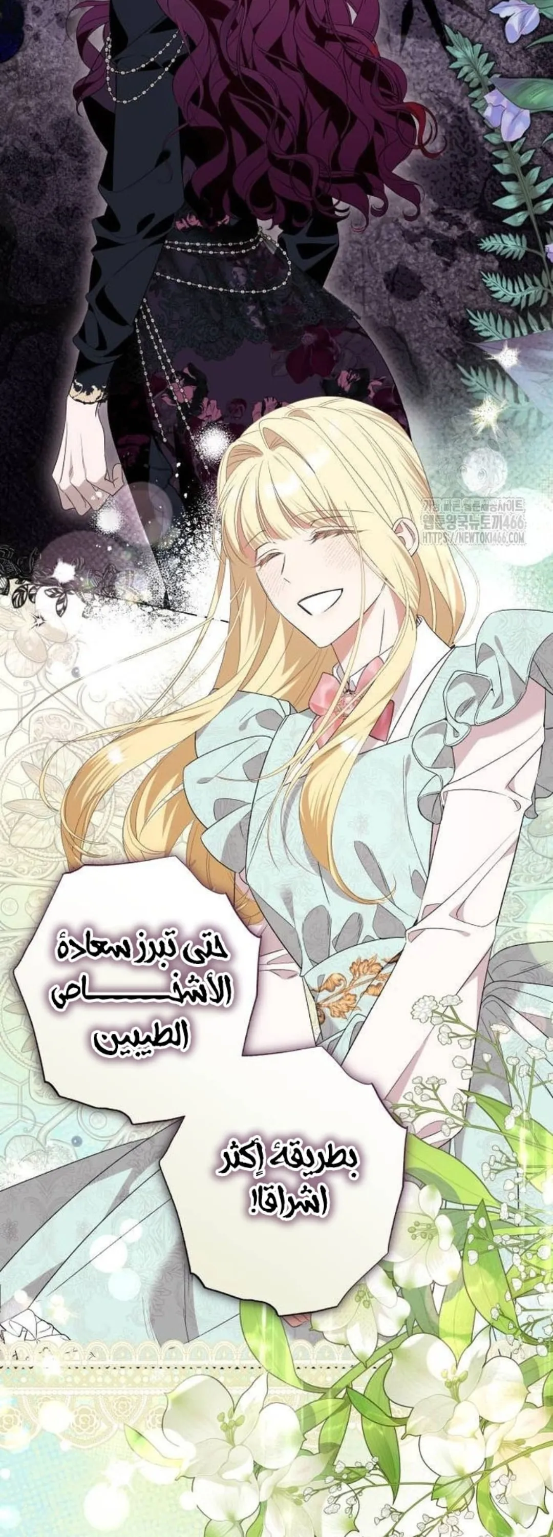 الصفحة 42