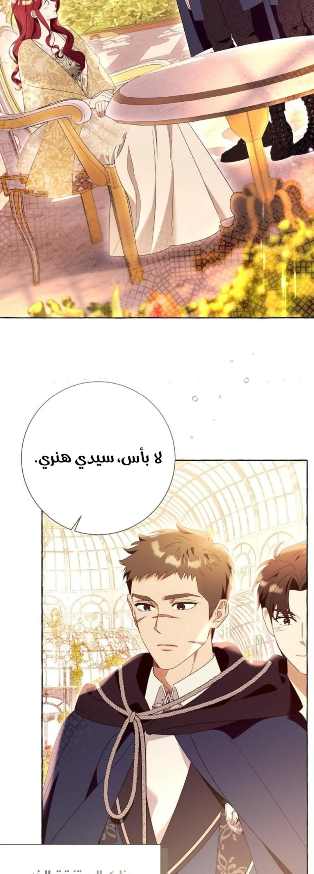 الصفحة 21