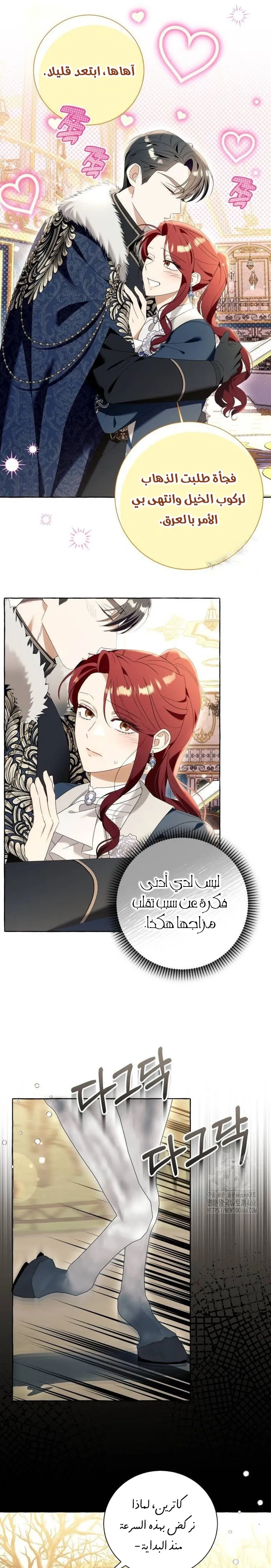 الصفحة 13