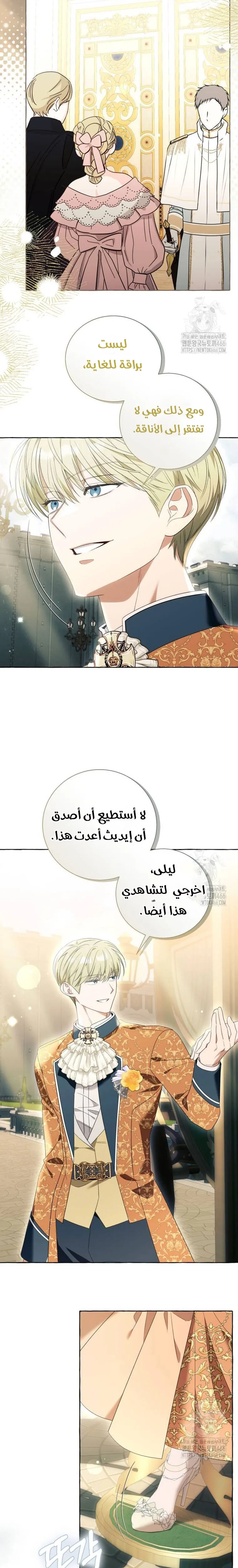الصفحة 20